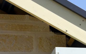soffit repair Withielgoose Mills